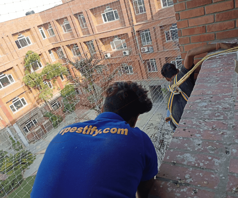 Pigeon Net Installation in Noida by Vpestify